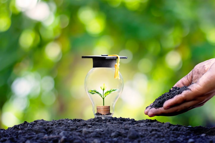 A seedling in a lightbulb with a black graduation cap on it and planted in soil with human hands adding more soil to it.